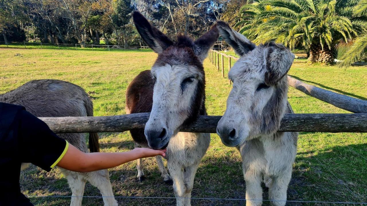 Pensjonat White Water Farm Stanford Zewnętrze zdjęcie